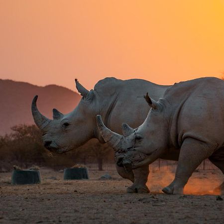 Ugab Game Farm & Lodge Vingerklip المظهر الخارجي الصورة