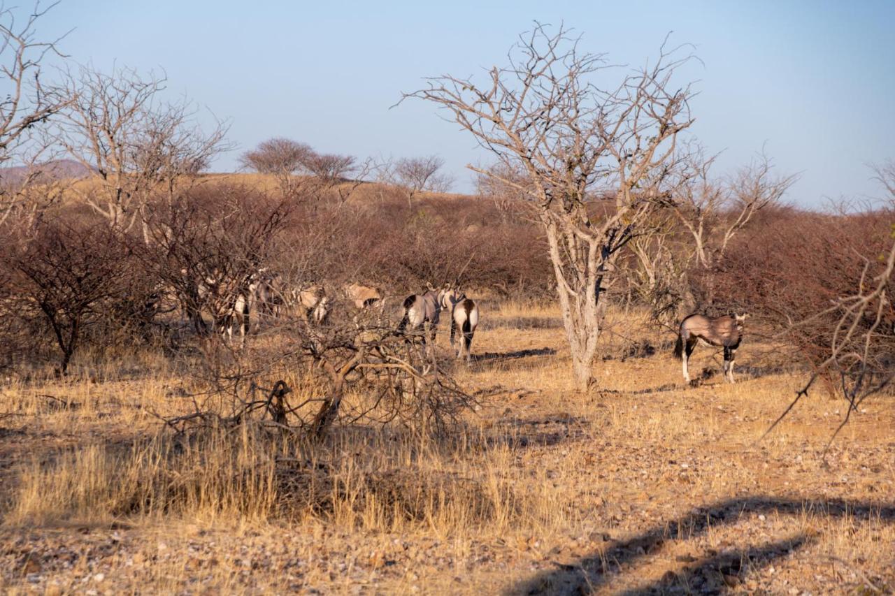 Ugab Game Farm & Lodge Vingerklip المظهر الخارجي الصورة