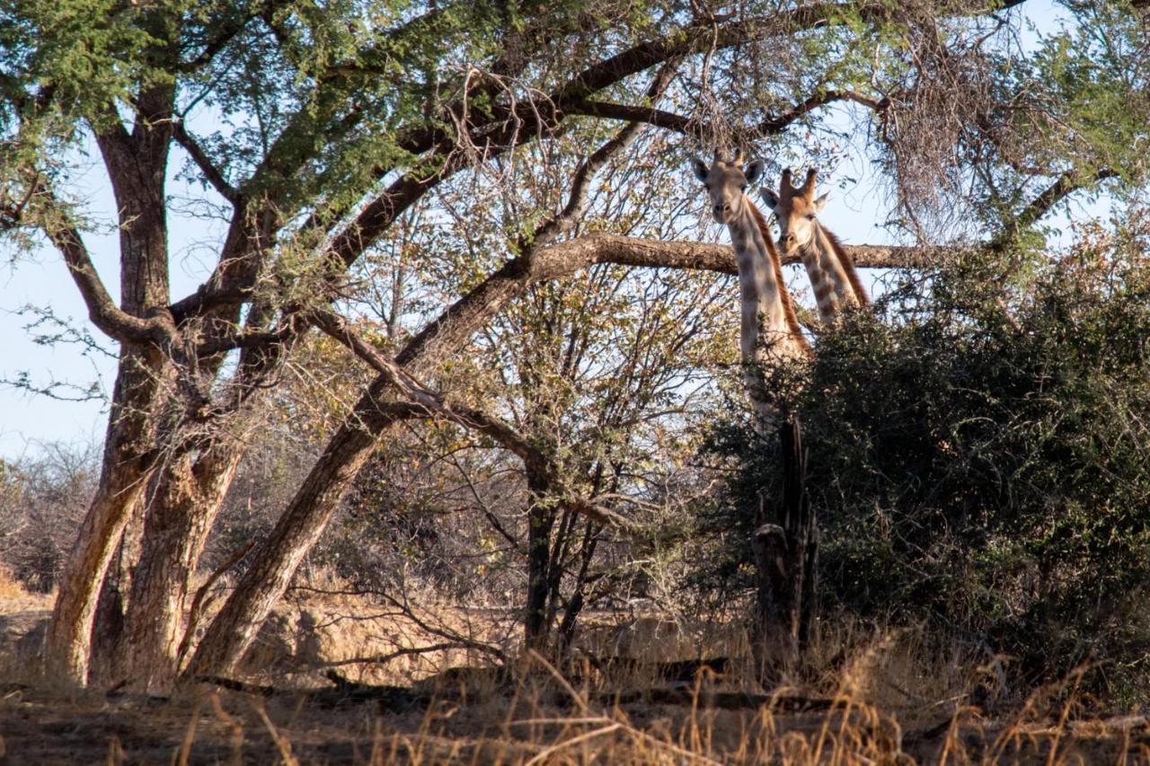 Ugab Game Farm & Lodge Vingerklip المظهر الخارجي الصورة