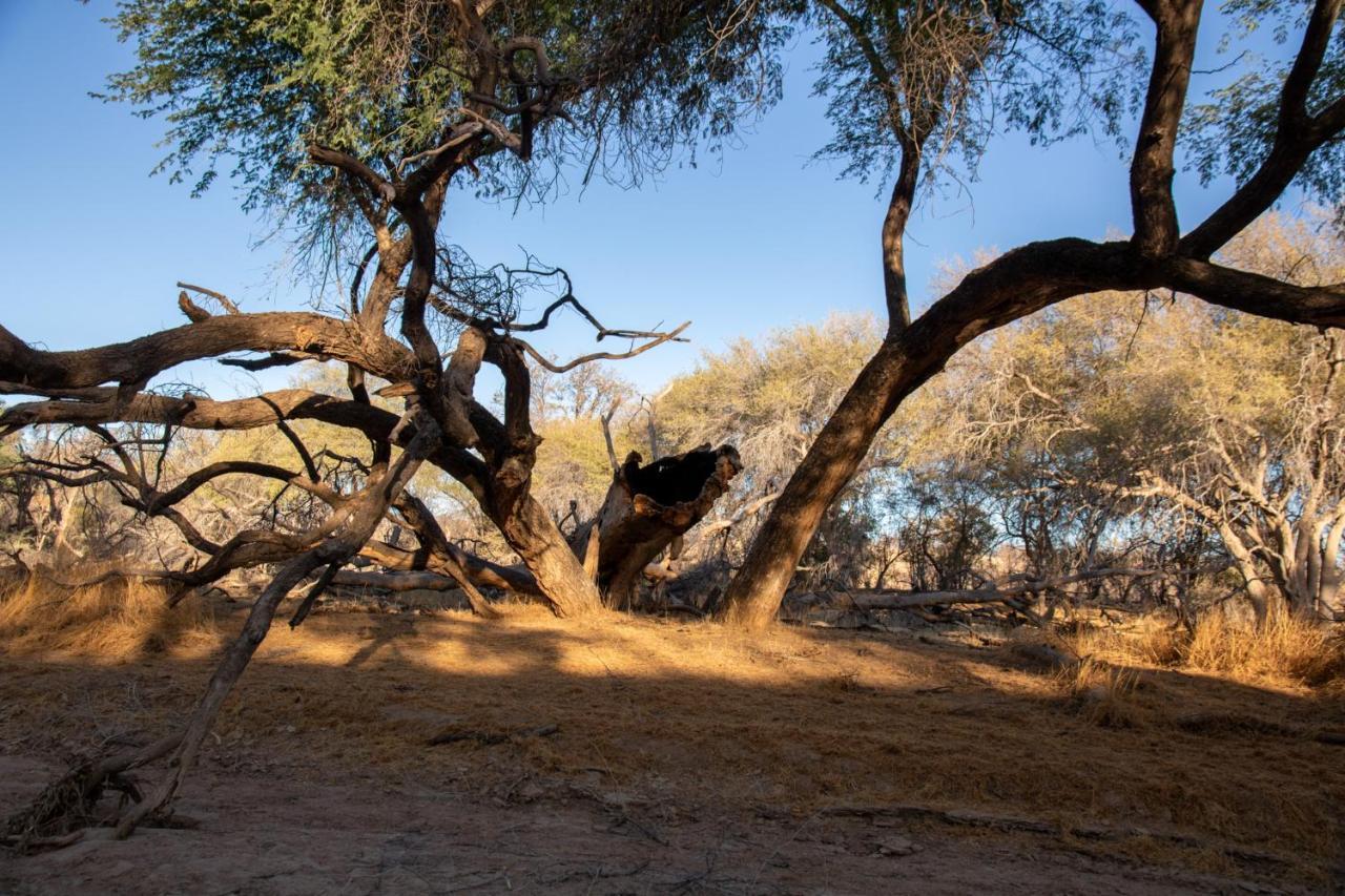 Ugab Game Farm & Lodge Vingerklip المظهر الخارجي الصورة